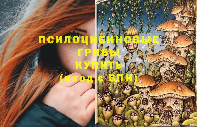 наркота  Железногорск-Илимский  KRAKEN вход  Галлюциногенные грибы Psilocybe 